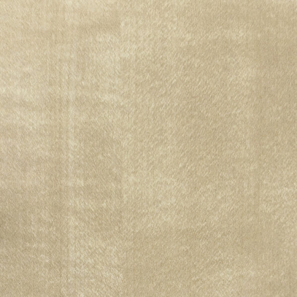 DL　TS　3810 イメージ