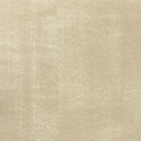 DL　TS　3810 イメージ