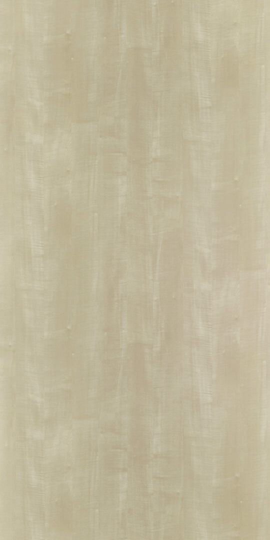 DL　TS　3810 イメージ