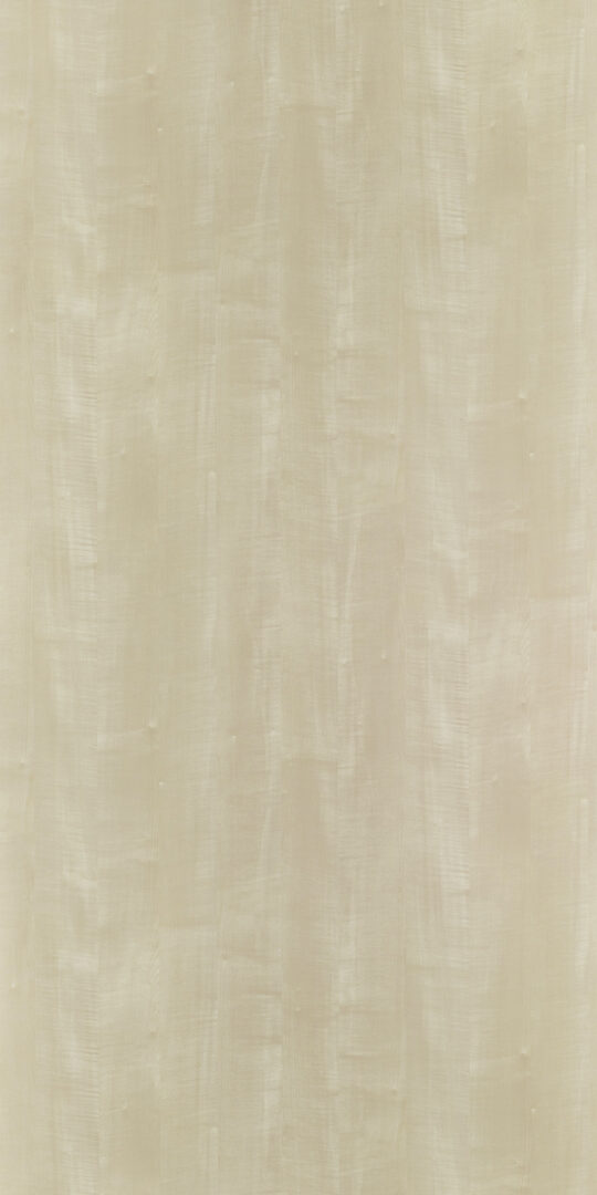 DL　TS　3810 イメージ