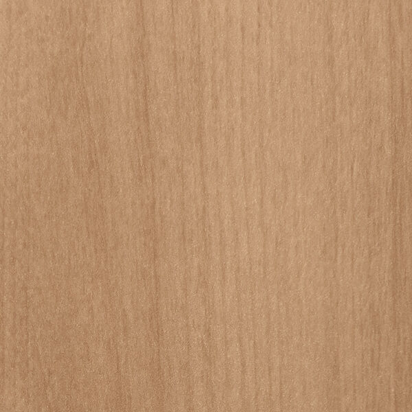 DL　TS　3830 イメージ