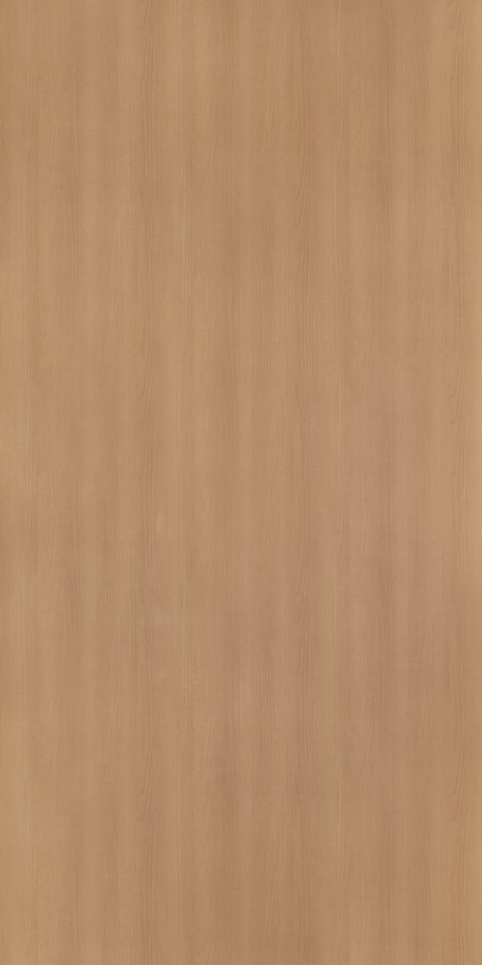 DL　TS　3830 イメージ