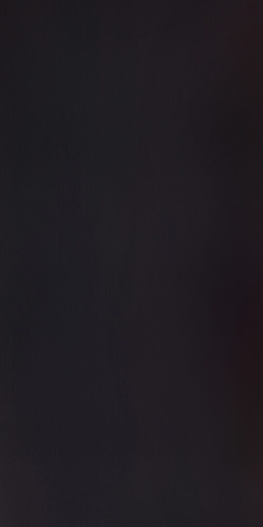 DL　SW　4190 イメージ