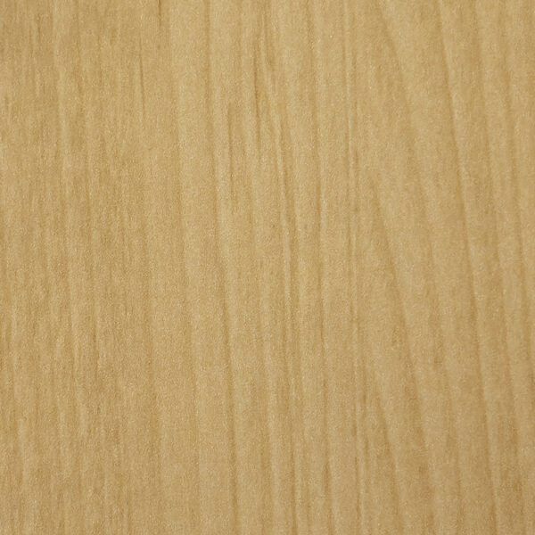 DL　TS　4900 イメージ