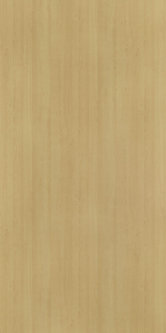 DL　TS　4900 イメージ