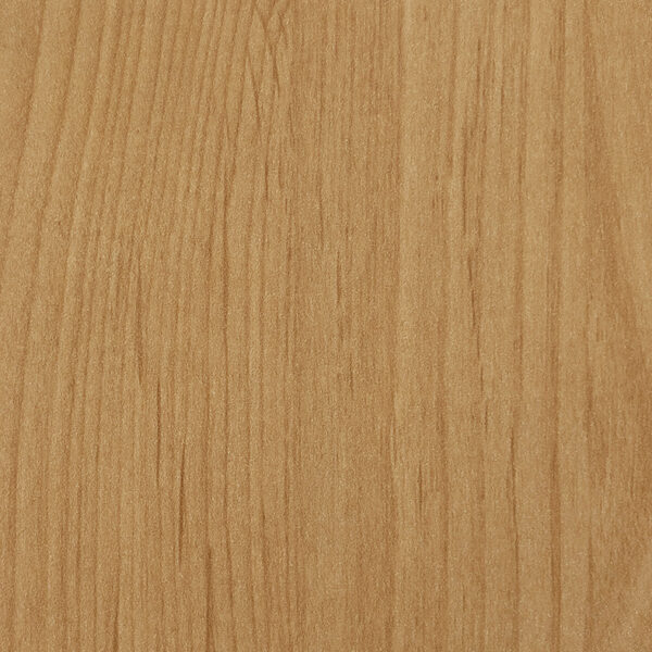 DL　TS　4901 イメージ