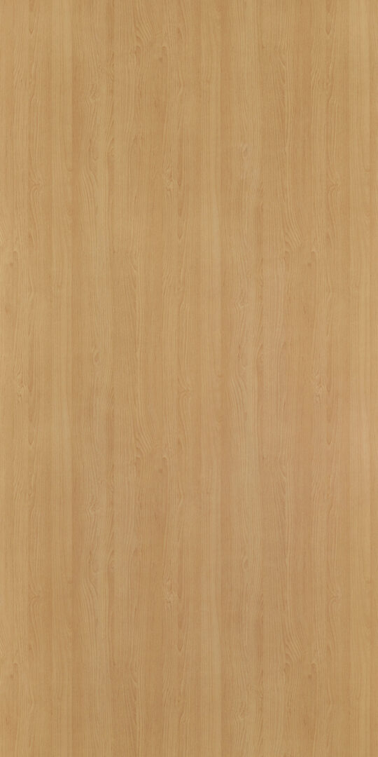 DL　TS　4901 イメージ