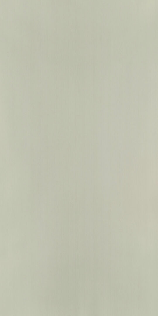 DL　TS　4907 イメージ