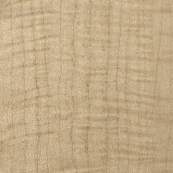 DL　TS　5431 イメージ