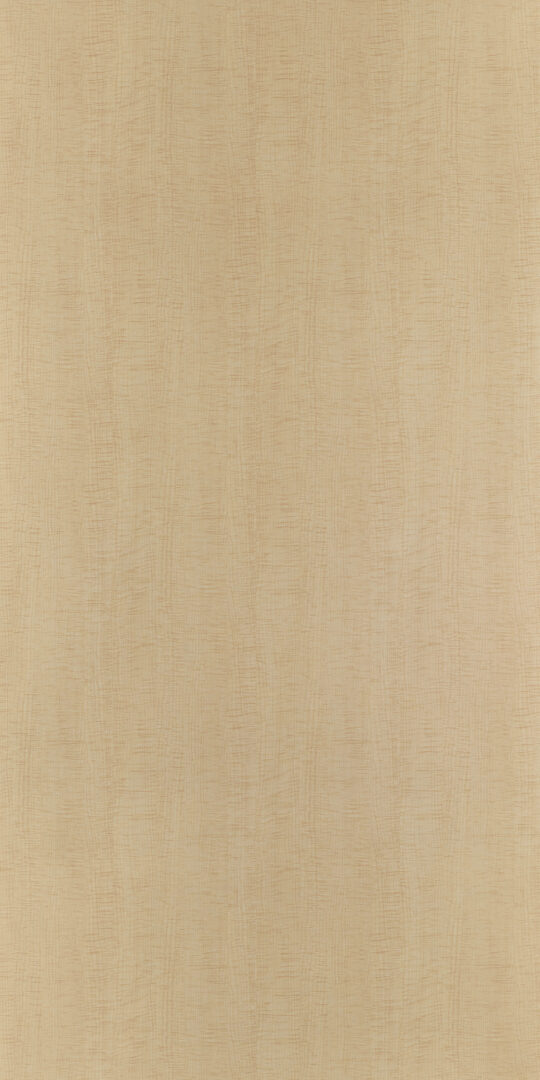 DL　TS　5431 イメージ