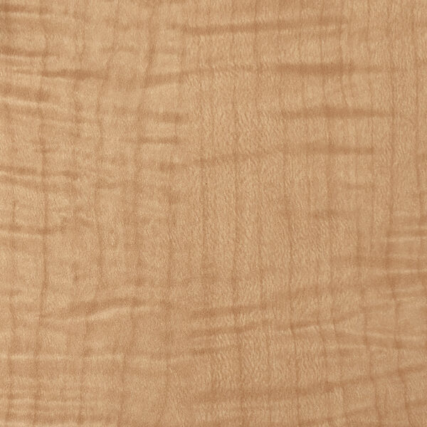 DL　TS　5432 イメージ