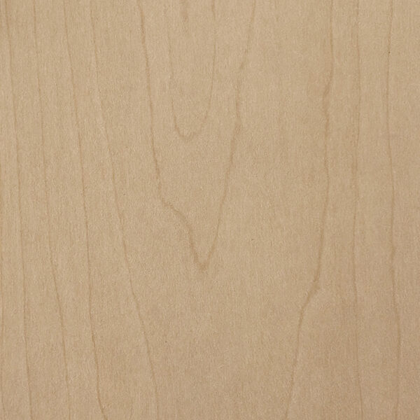 DL　TS　5472 イメージ