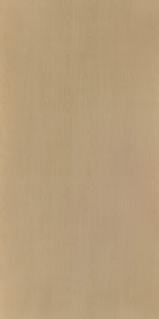 DL　TS　5472 イメージ