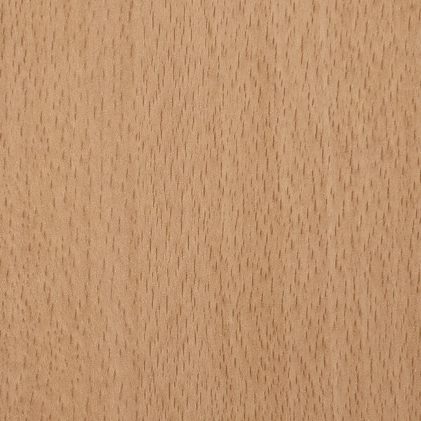 DL　TS　6004 イメージ