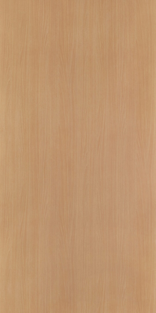 DL　TS　6004 イメージ