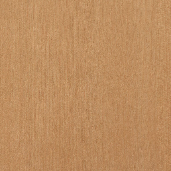 DL　TS　6031 イメージ