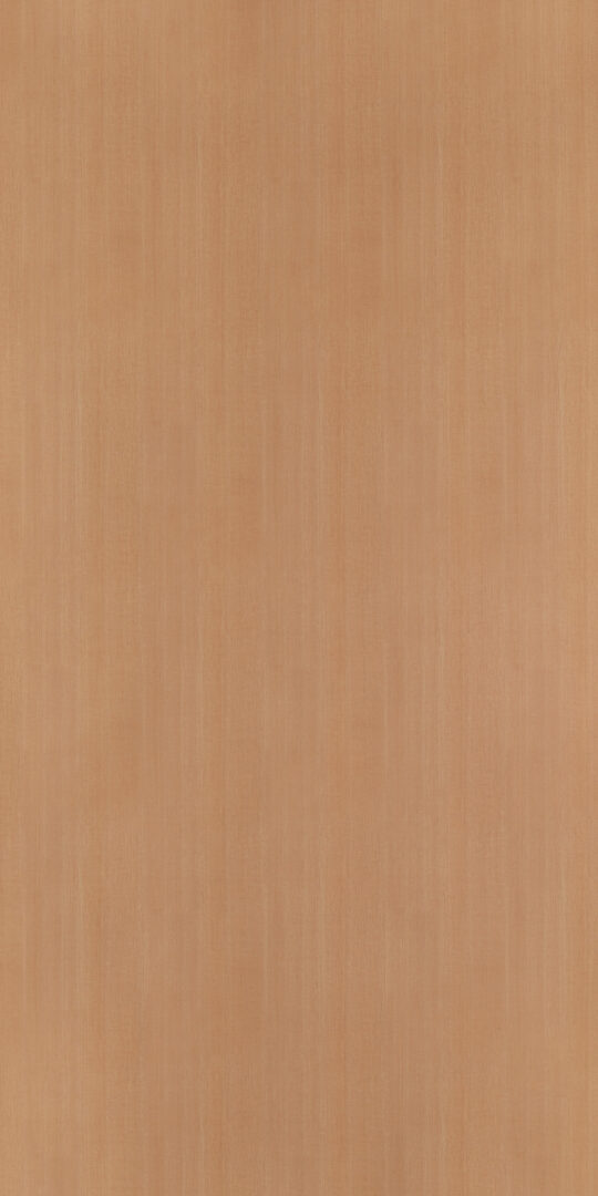 DL　TS　6031 イメージ