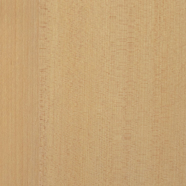 DL　TS　6071 イメージ