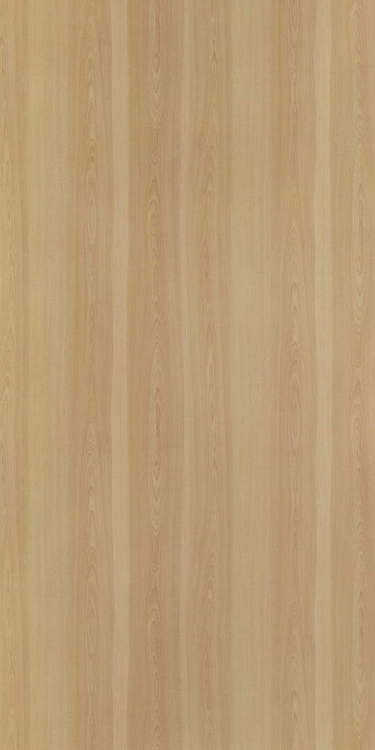 DL　TS　6071 イメージ