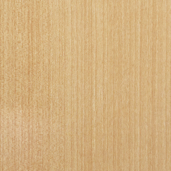 DL　TS　6102 イメージ