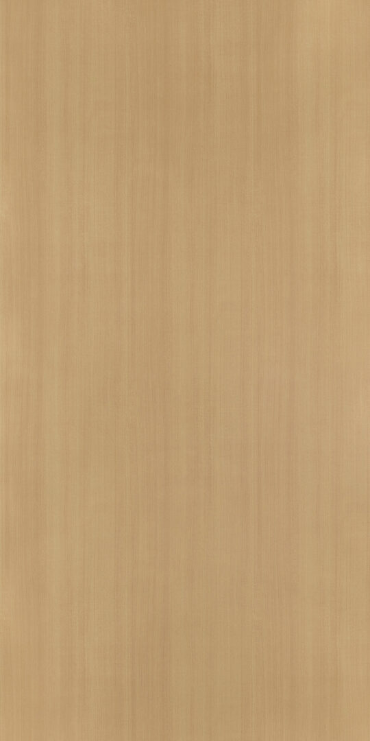 DL　TS　6102 イメージ