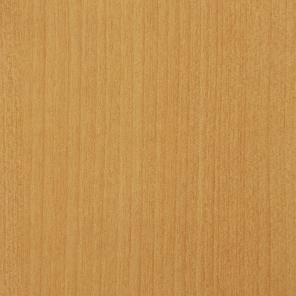 DL　TS　6103 イメージ