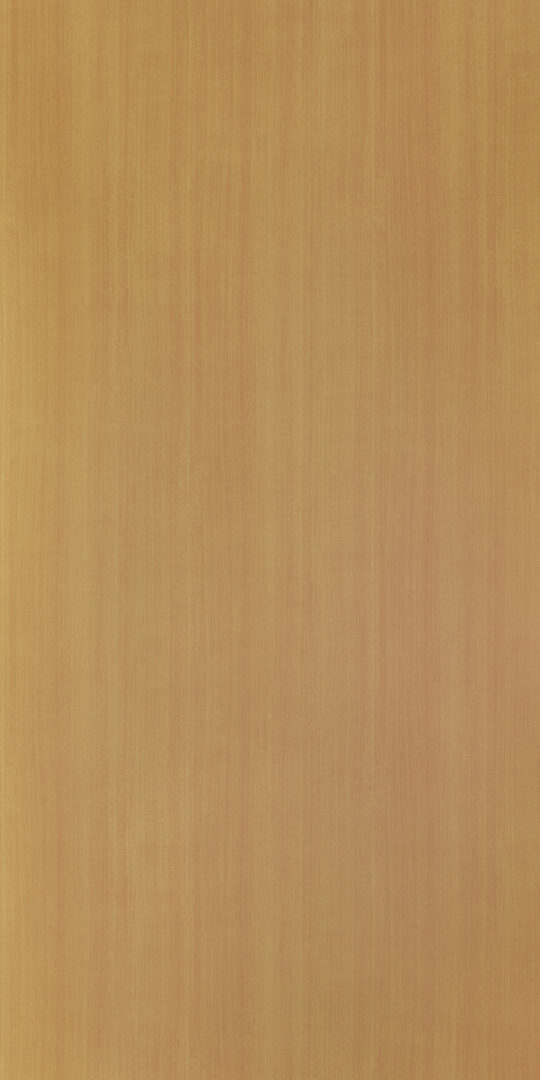 DL　TS　6103 イメージ