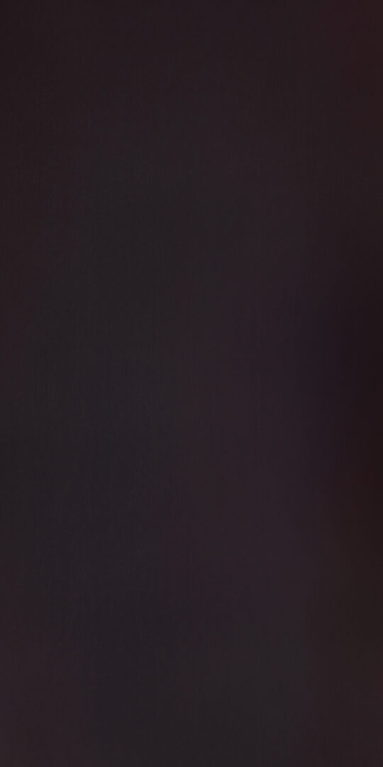 DL　SW　6690 イメージ