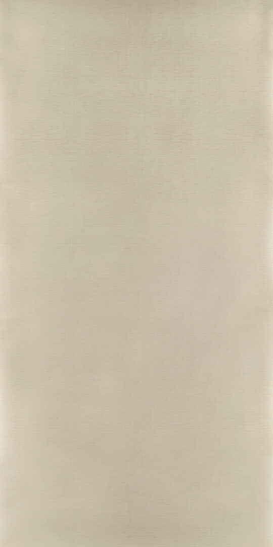 DL　TS　6826 イメージ