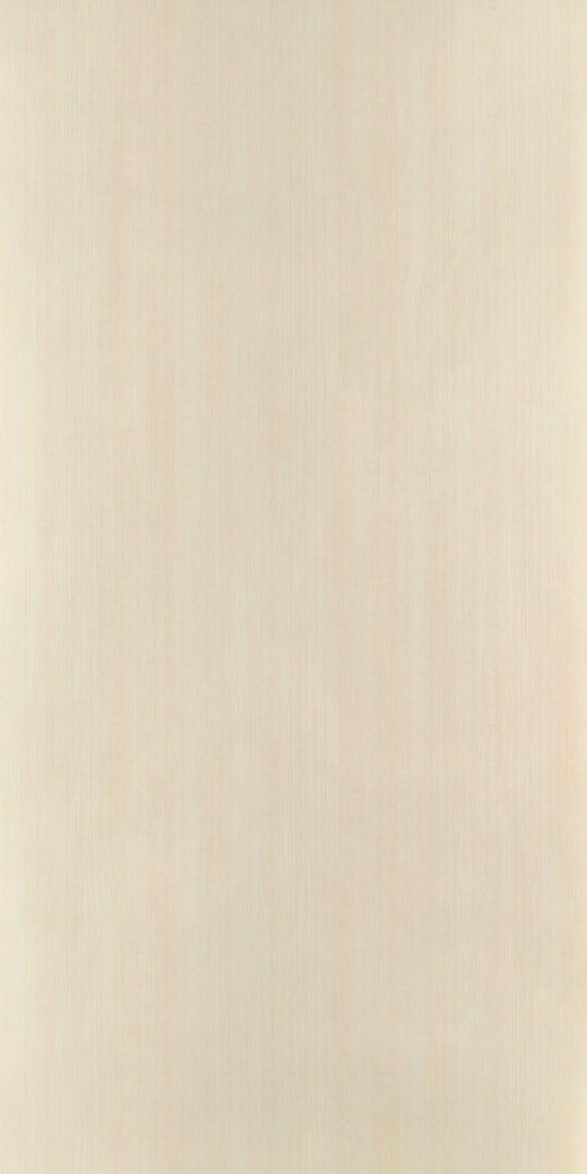 DL　V　7404 イメージ