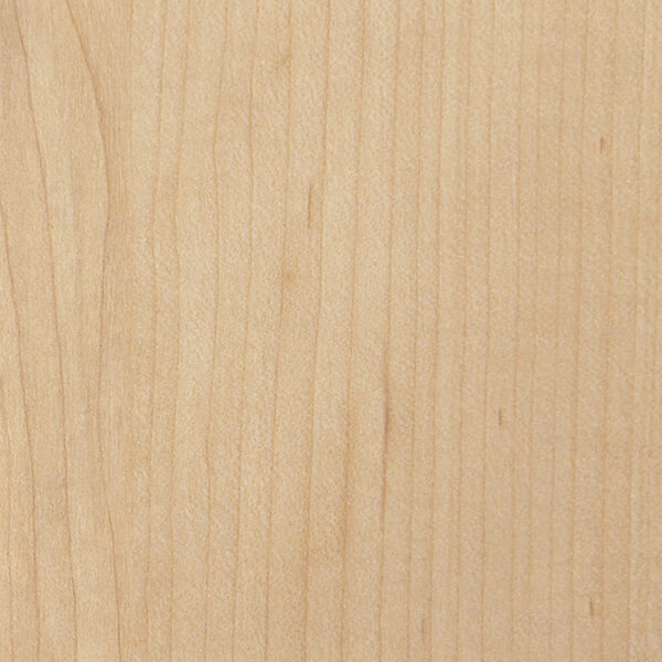 DL　V　7421 イメージ