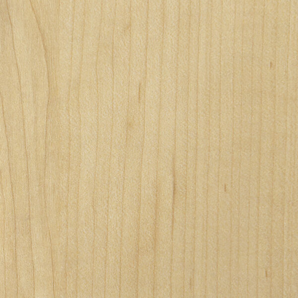 DL　V　7421 イメージ