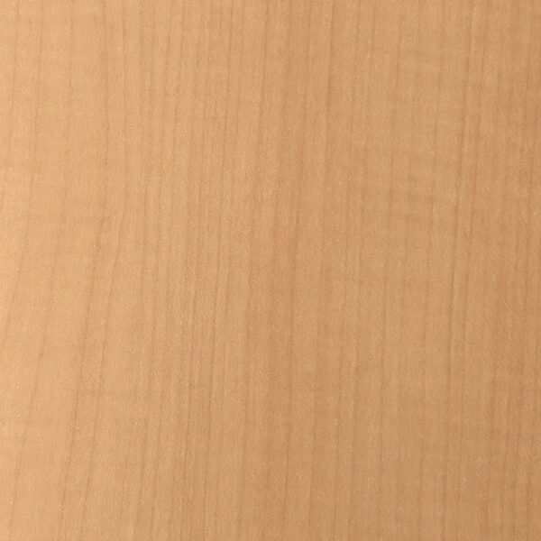 DL　V　7461 イメージ