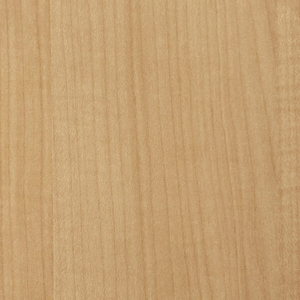 DL　V　7461 イメージ