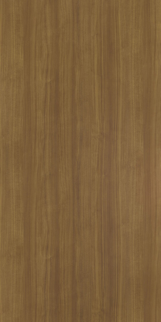 DL　TS　3820 イメージ