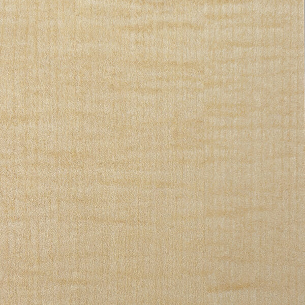 DLS　TS　6772 イメージ