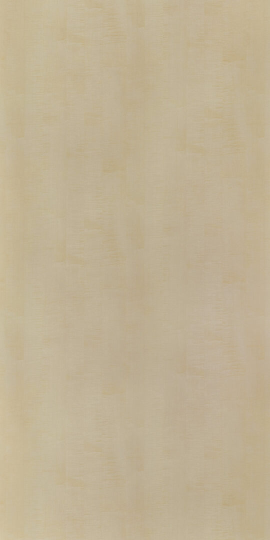 DLS　TS　6772 イメージ