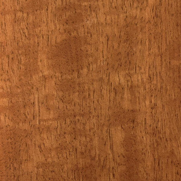 DXN　TS　2221 イメージ