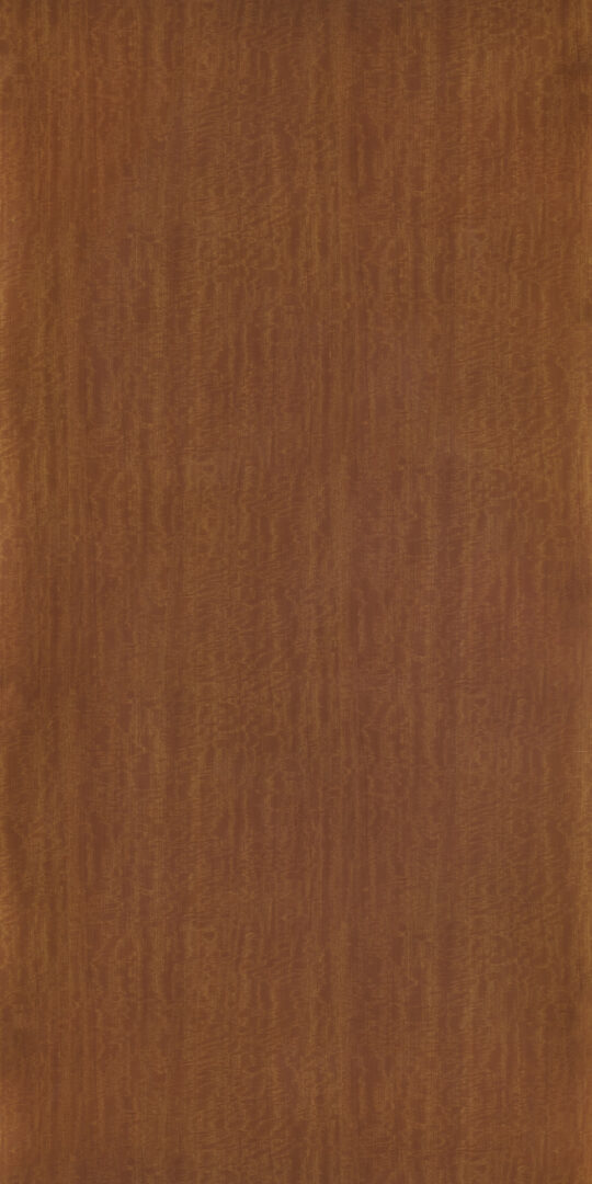 DXN　TS　2221 イメージ