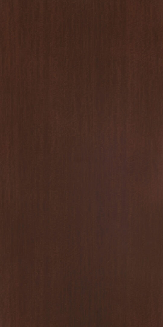 DXN　TS　2226 イメージ