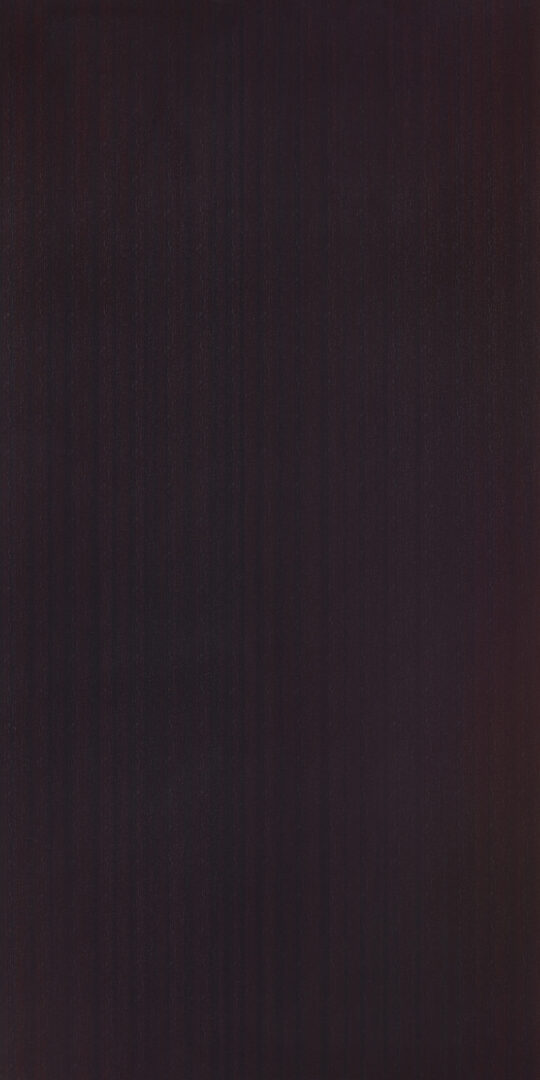 DXN　W　2239 イメージ