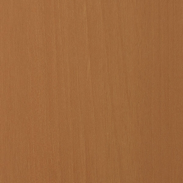 DXN　TS　2253 イメージ