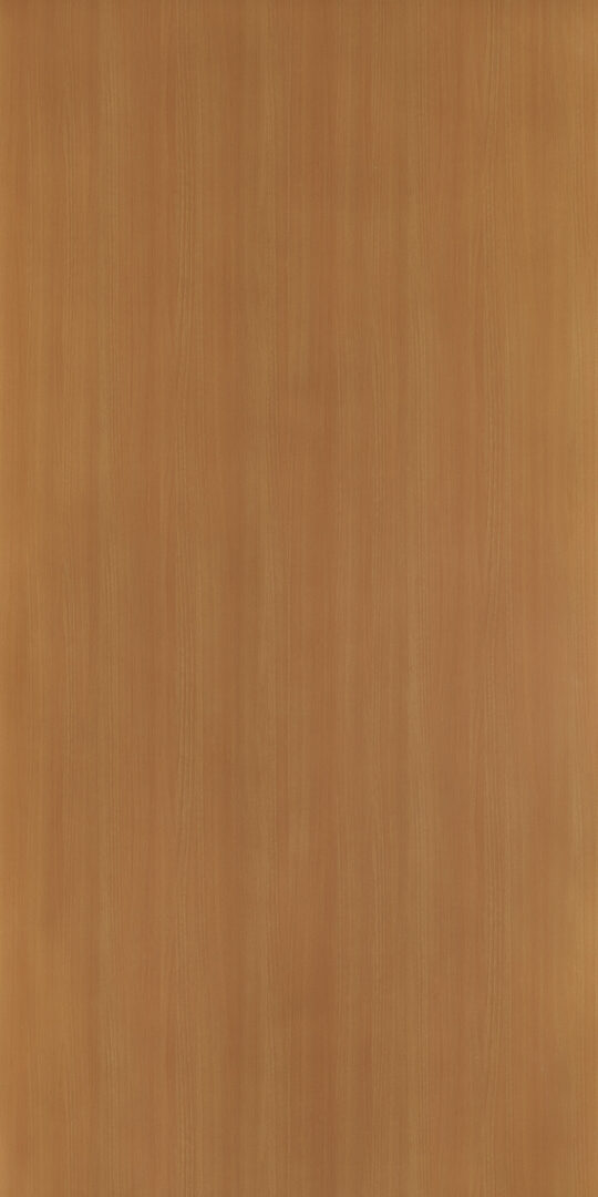 DXN　TS　2253 イメージ