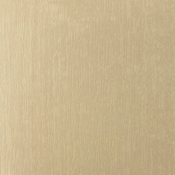 DXN　W　3810 イメージ