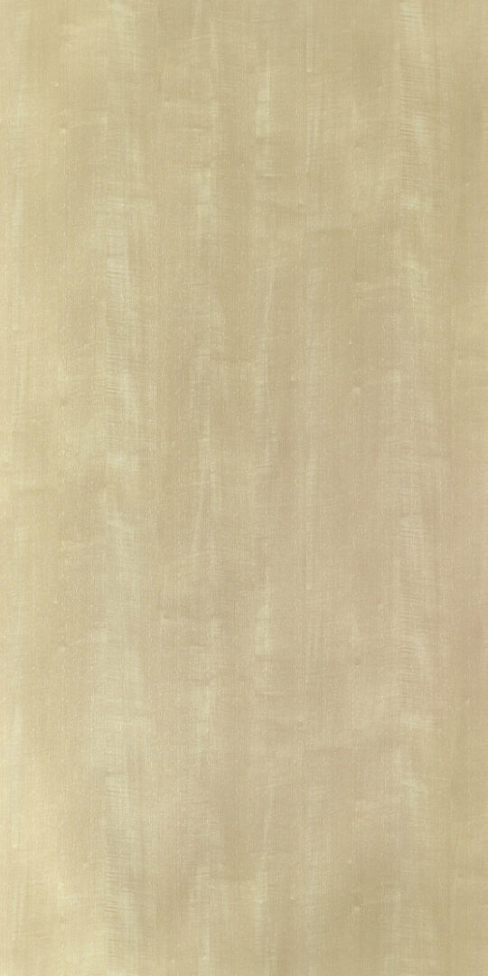 DXN　W　3810 イメージ