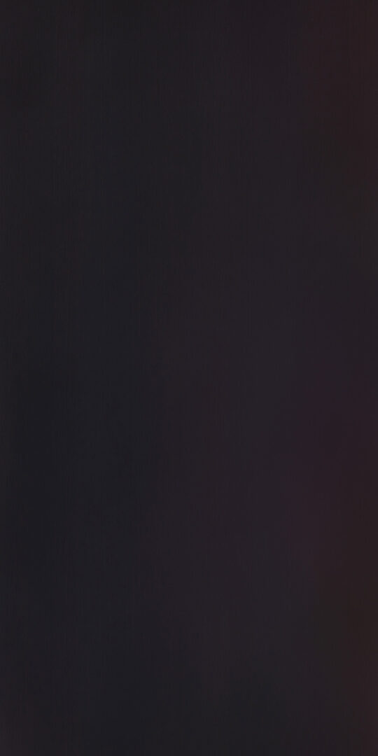 DXN　M　4190 イメージ