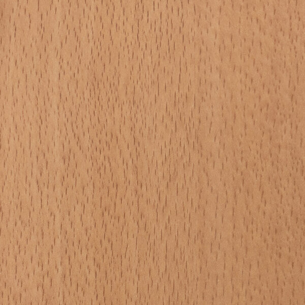 DXN　TS　6004 イメージ