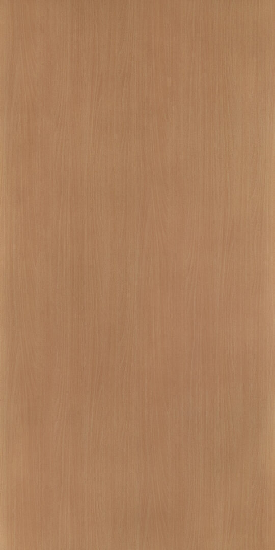 DXN　TS　6004 イメージ