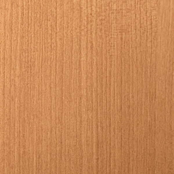 DXN　TS　6103 イメージ