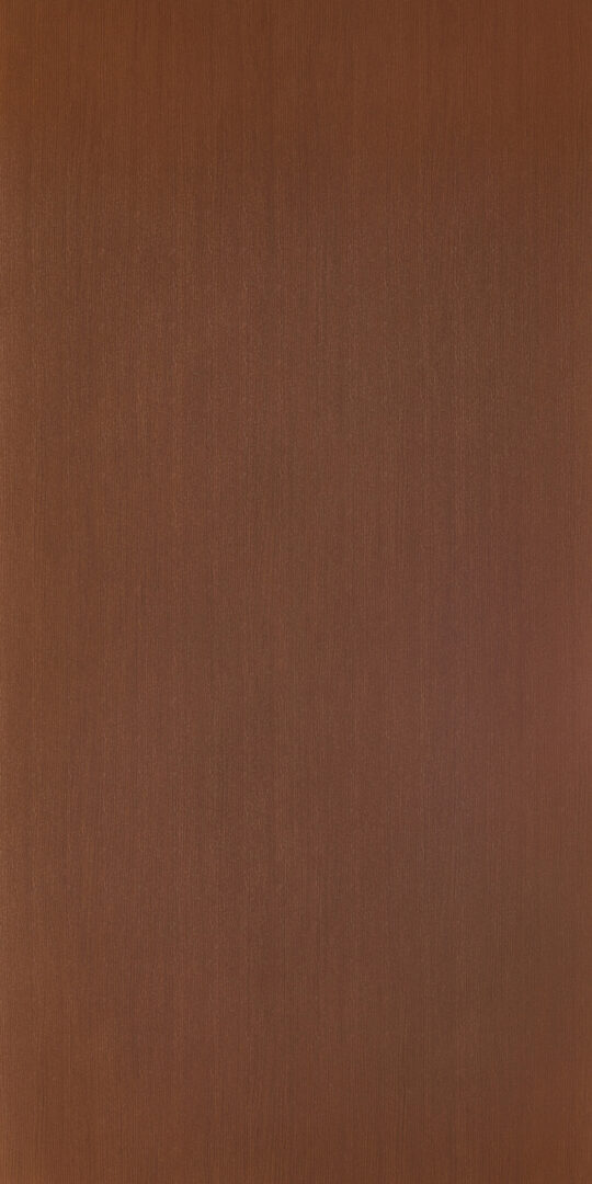 DXN　W　6686 イメージ